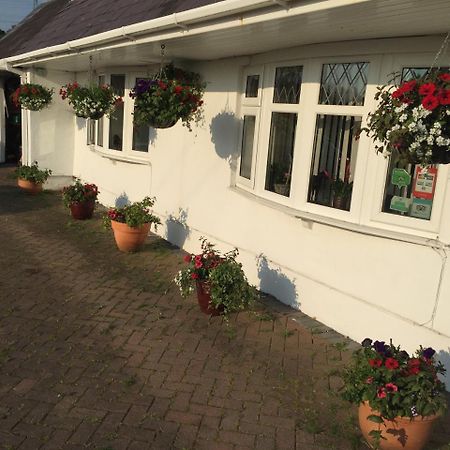 Brynawel Farm B&B Pontlliw Eksteriør billede